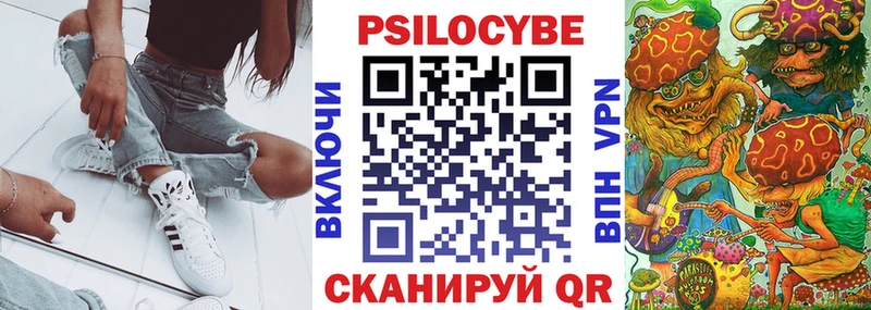 Купить закладки  Курчатов  Псилоцибиновые грибы Magic Shrooms 